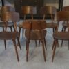 Ensemble de 7 chaises en chêne et contreplaqué de hêtre