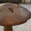 Champignon décoratif en bois brut 1980's