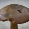 Champignon décoratif en bois brut 1980's
