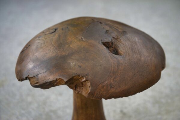 Champignon décoratif en bois brut 1980's